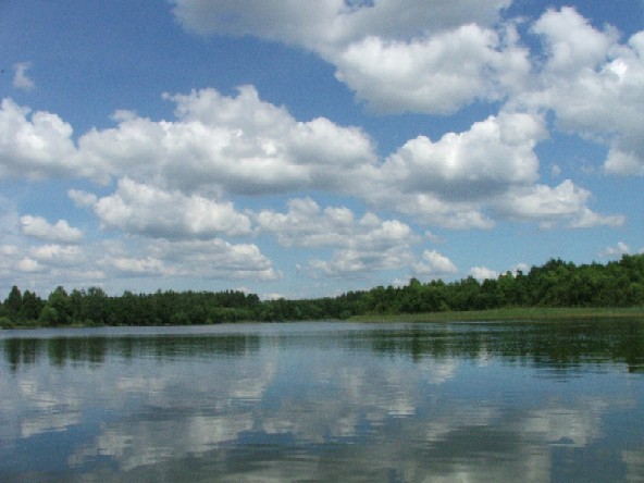 Okoniny Nadjeziorne czerwiec 2005