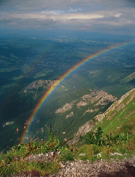 ceprostrada_view