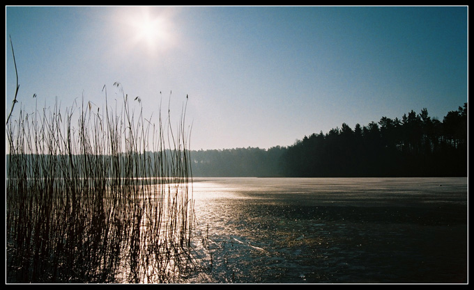 Bory Tucholskie