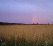 somewhere over the rainbow...