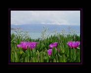 Chorwacja,wyspa Krk, Baska