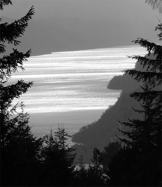 lsnienie ...