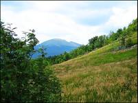 Tarnica....