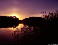 Mazury