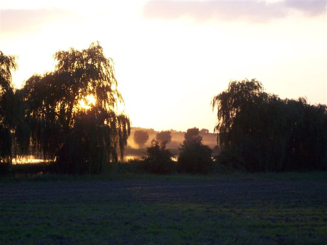 WIELKOPOLSKI PEJZAŻ 2