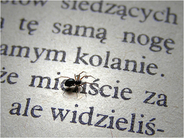 Czytać każdy może...