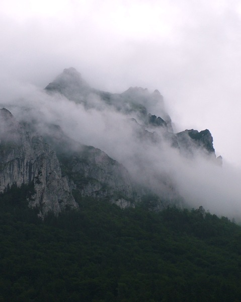 Bez tytułu