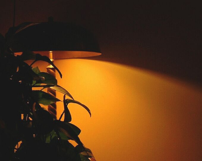 Z lampą w tle... (1)