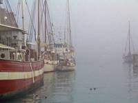 Nyhavn II