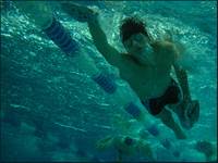 Trening