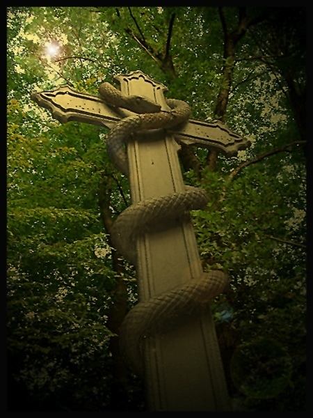 krzyż