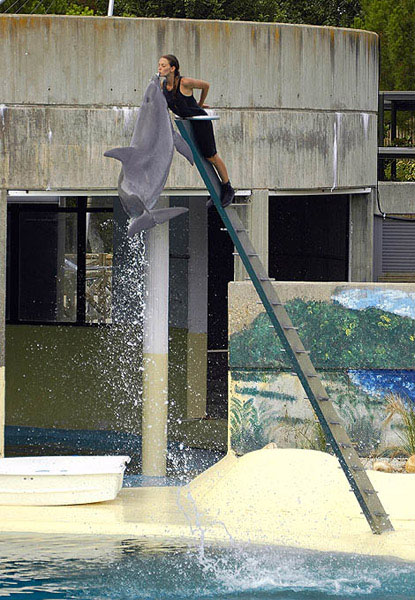  - aquarium  ... - ulotny pocalunek  ...