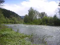 Karpaty