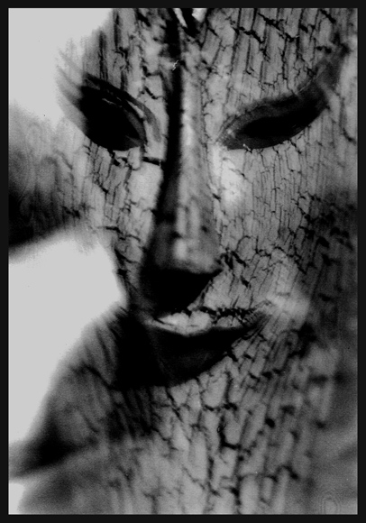 Ent