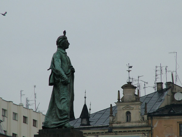 gosajka