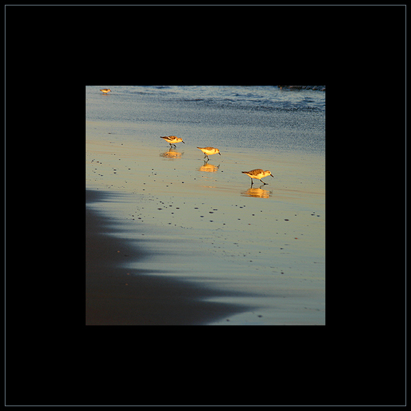 .at the beach.part two.