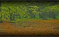 Almost autumn