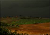 Under Tuscan Sun