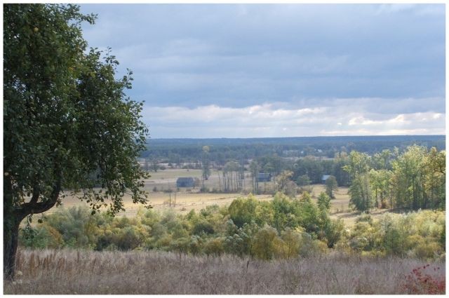 widok z działki