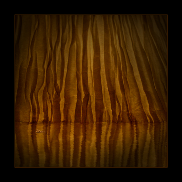 The Mind's Ocean