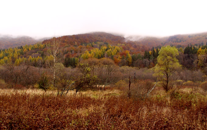 Bieszczady w mgle