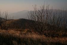 Bieszczady