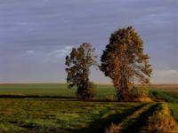pejzażowo