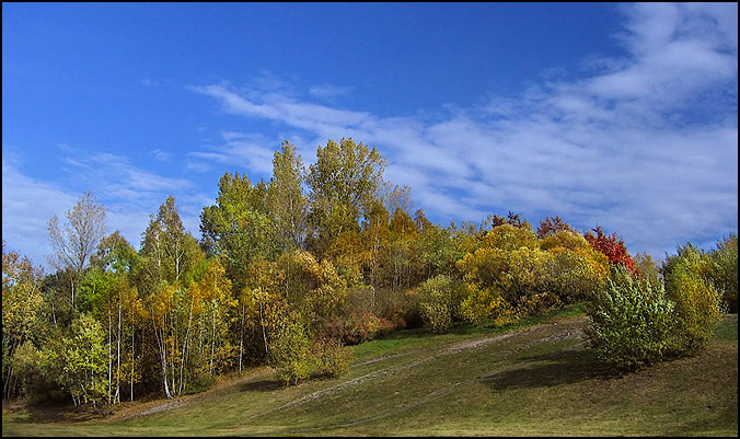 autumn...