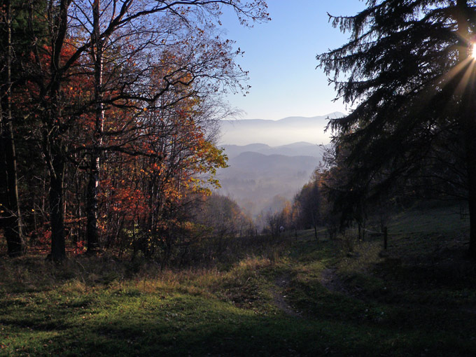 Jesień