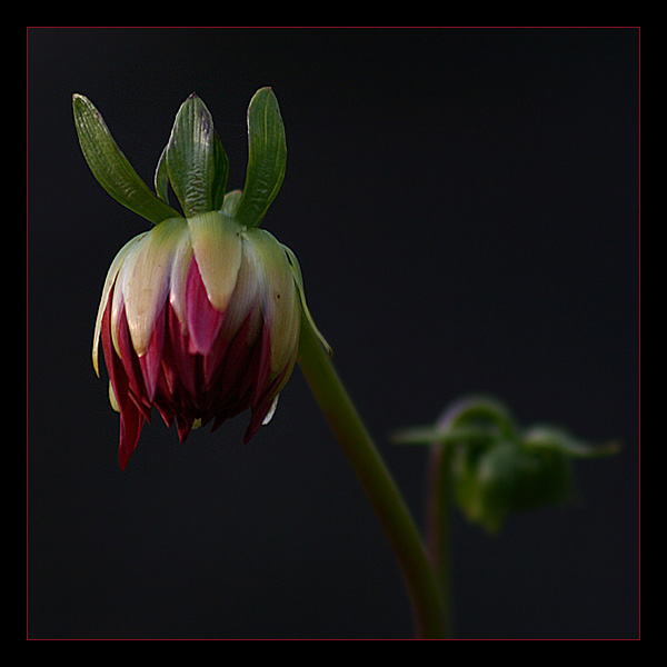 Fragile