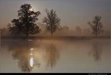 Odrzańska refleksja