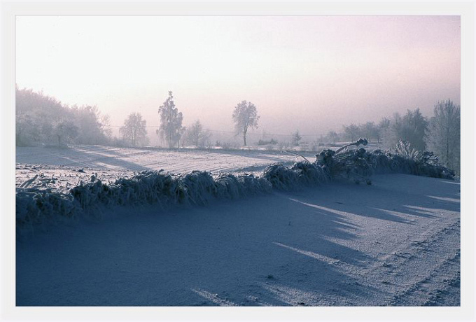 misty road na Kondratach
