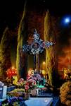 nocne widoki.