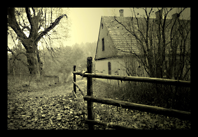 Jagoda c.d.