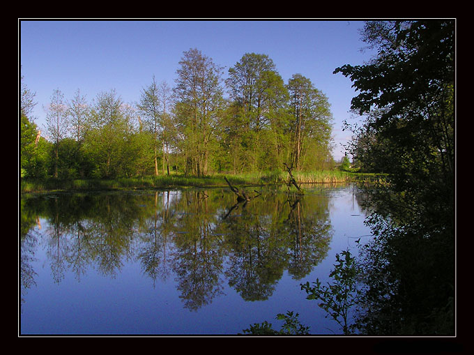 Koniec lata