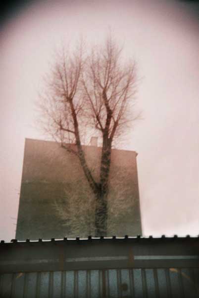 gARdRe