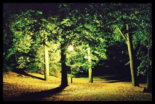 Park nocą