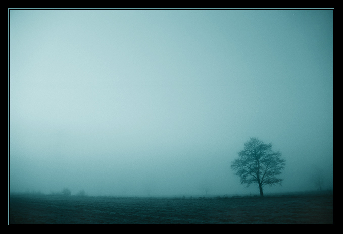..zamglony horyzont...