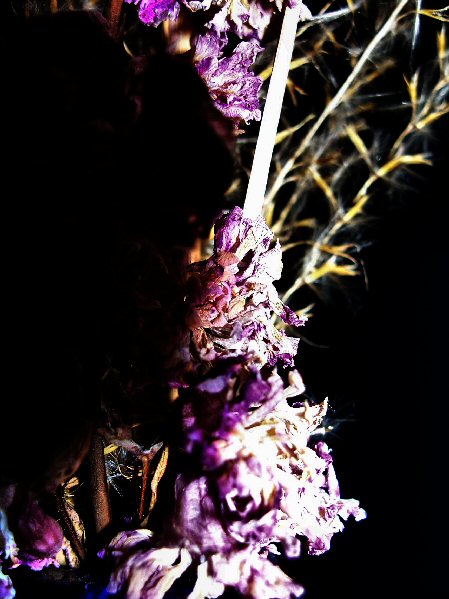 Breathe into me...