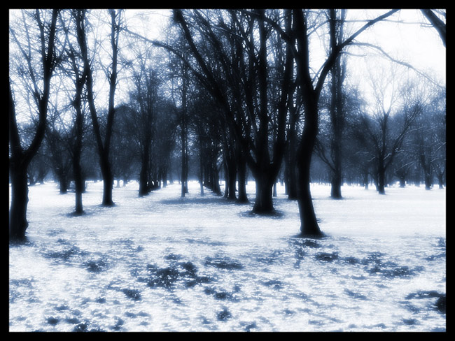 *Winter Time*03*