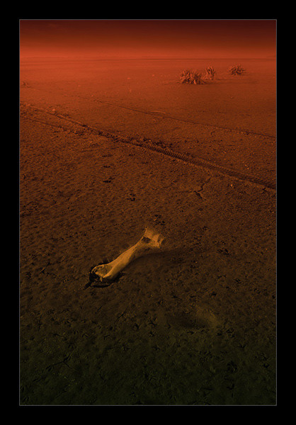 :: postnuclear ::