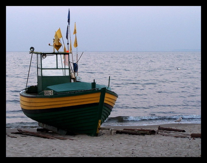 Gdynia moje miasto