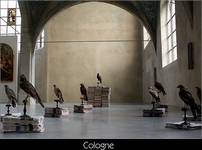 Art-Station