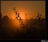 7 października 2005, 6:50
