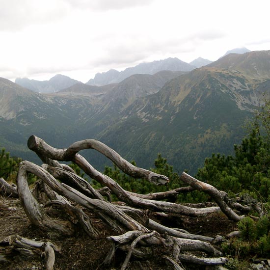 Tatry