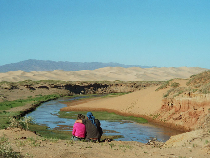 Pani Misiowa