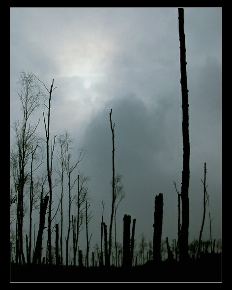 day of darkness