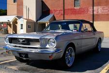 Mustang