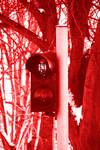red-hot world