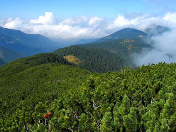 Tatry
